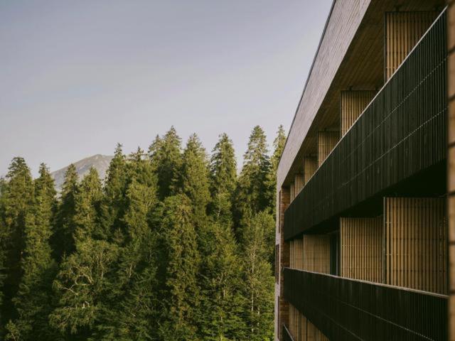 Bakuriani Apartment With Forest Around Zewnętrze zdjęcie