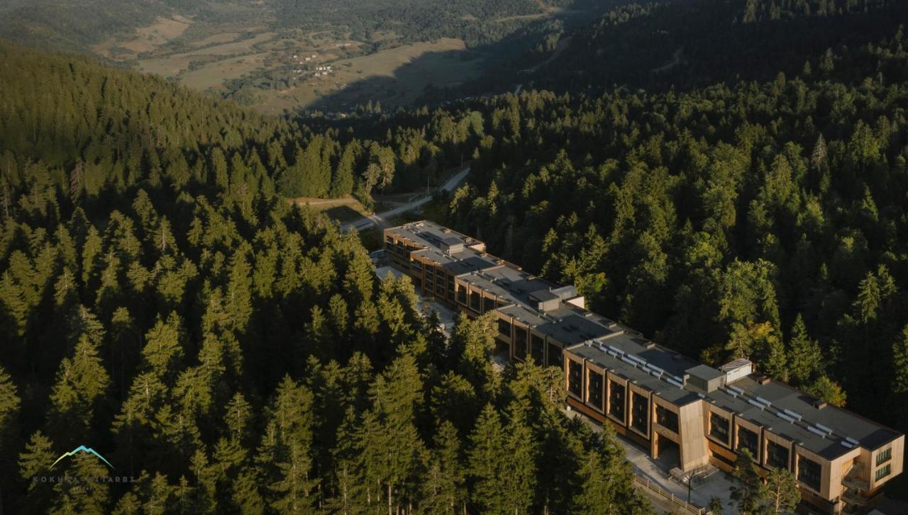 Bakuriani Apartment With Forest Around Zewnętrze zdjęcie