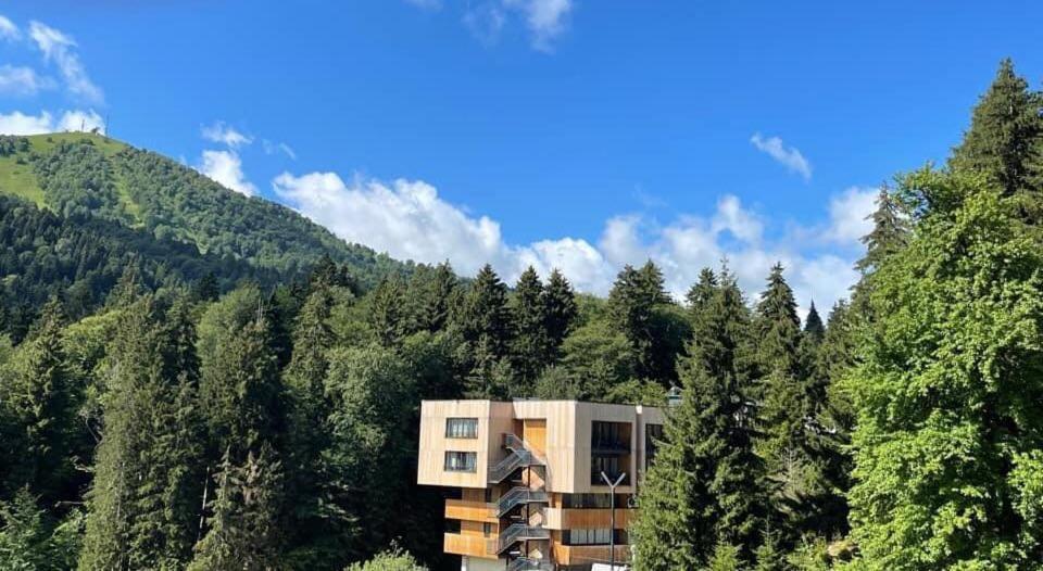 Bakuriani Apartment With Forest Around Zewnętrze zdjęcie